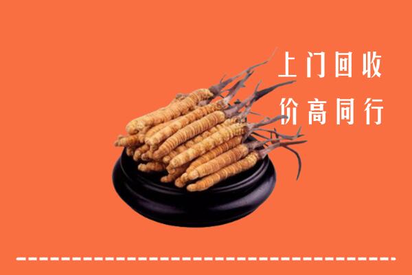 高价求购：水磨沟区回收散虫草