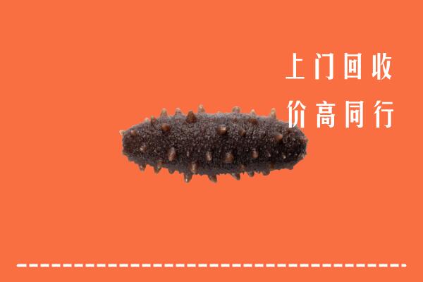 高价求购：水磨沟区回收海参