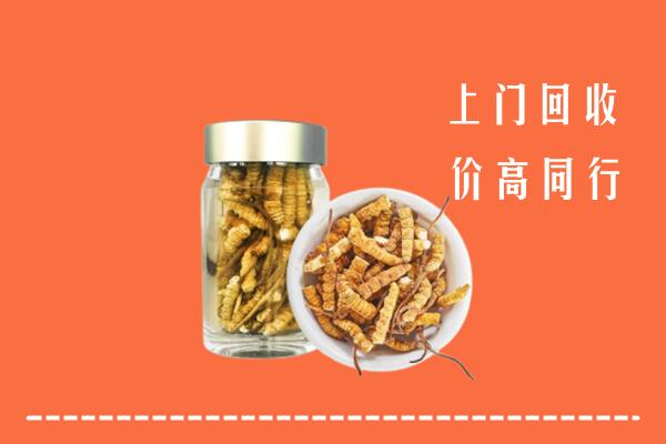 水磨沟区高价回收冬虫夏草